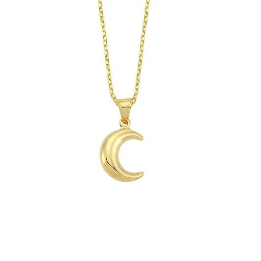 14K Gold Necklace-Gold Plain Crescent Necklace